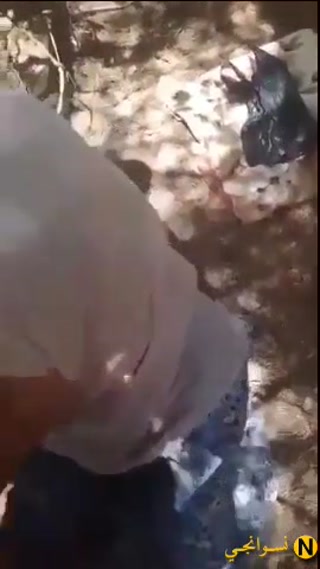 vidara.to